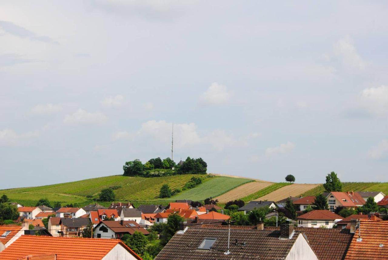 Ferienwohnung Kirchbergblick Hackenheim Экстерьер фото